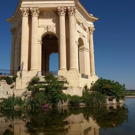 Un Oasis Au Coeur De La Vieille Ville, Classe 4 Etoiles * Montpellier